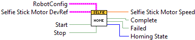 SelfieStickHome.vi